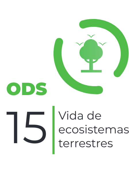 ODS VIDA
